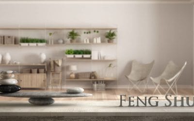 Las mejores plantas para el Feng Shui en tu Home Office